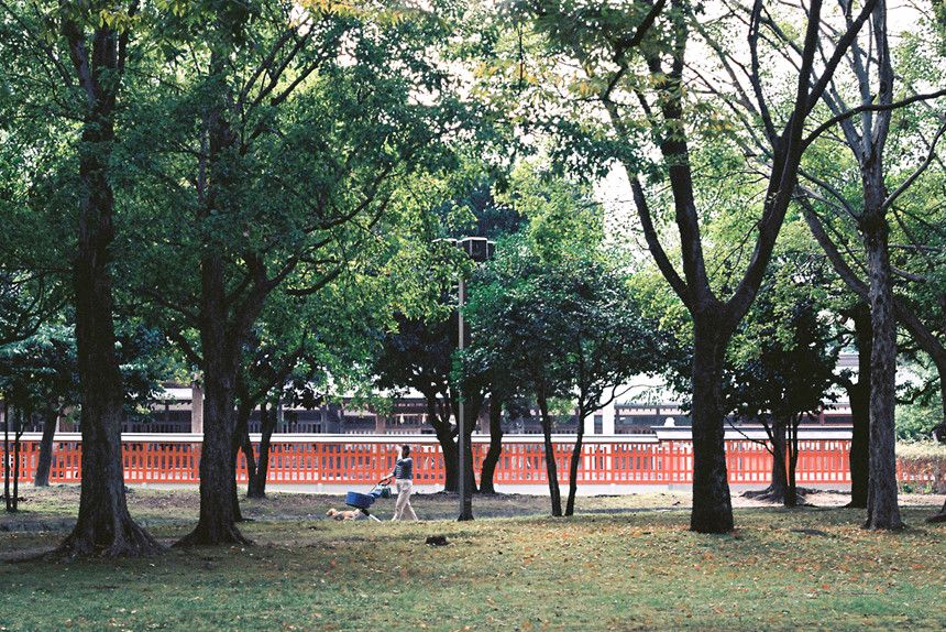 Nhat Ban dep mo mang thoi khac chuyen mua sang thu 11